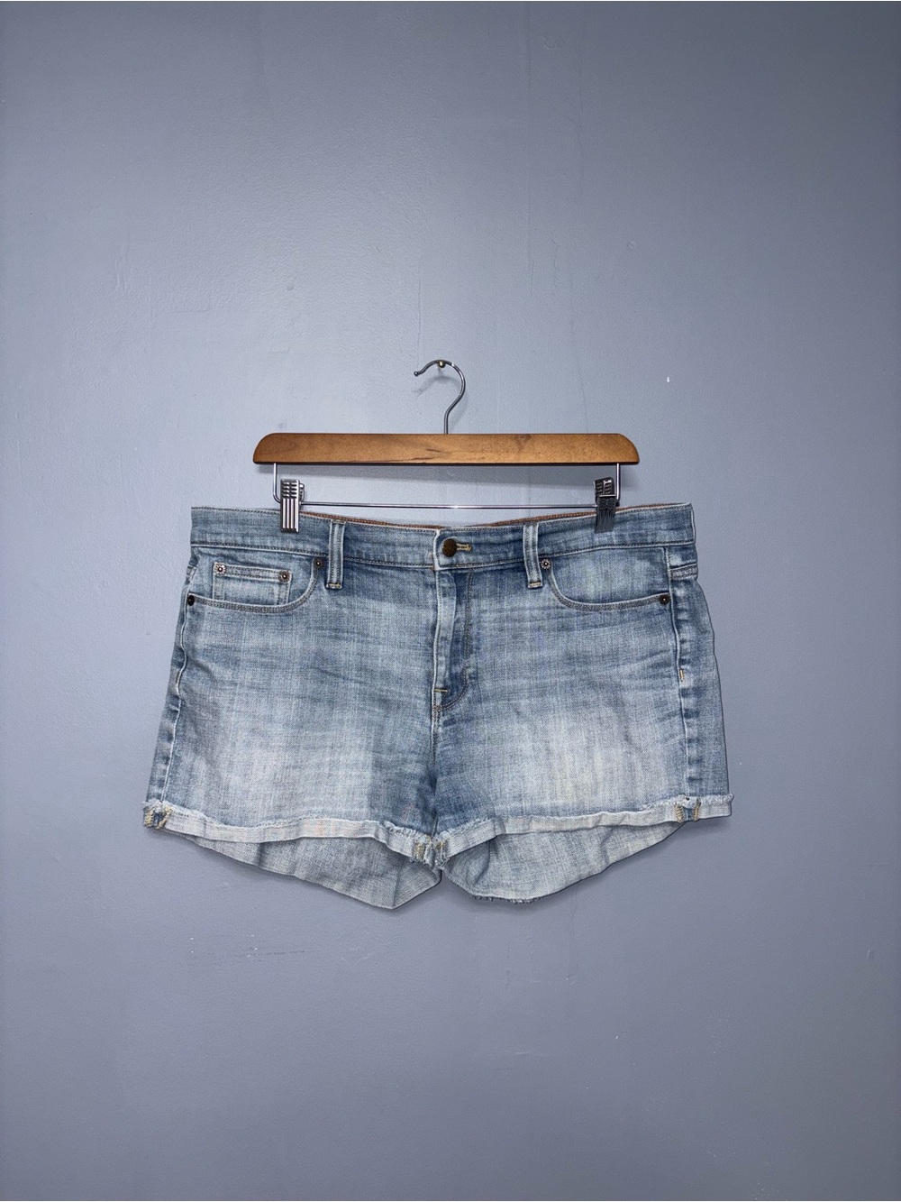 J. Crew | Jean Shorts | Size 31